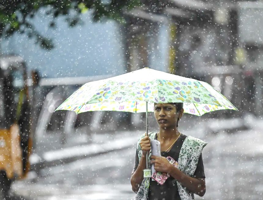 நாளை மழைக்கு வாய்ப்புள்ள மாவட்டங்கள் நாளை மழைக்கு வாய்ப்புள்ள மாவட்டங்கள்