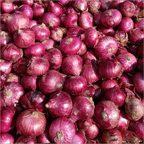 onion ரேஷன் கடைகளில் ரூ.35க்கு வெங்காயம் விற்பனை: அமைச்சர் அறிவிப்பு